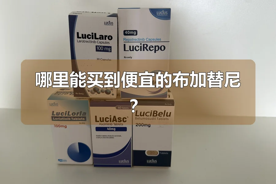 哪里能买到便宜的布加替尼？
