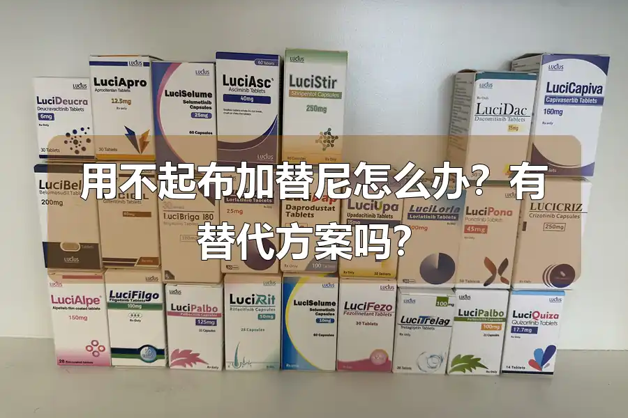 用不起布加替尼怎么办？有替代方案吗？
